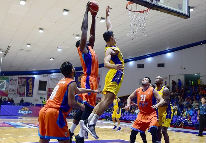 WhatsApp Image 2018-02-13 at 19.46.31