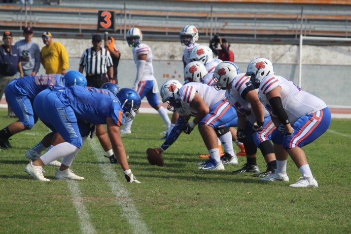 WhatsApp Image 2018-11-03 at 19.11.50(1)